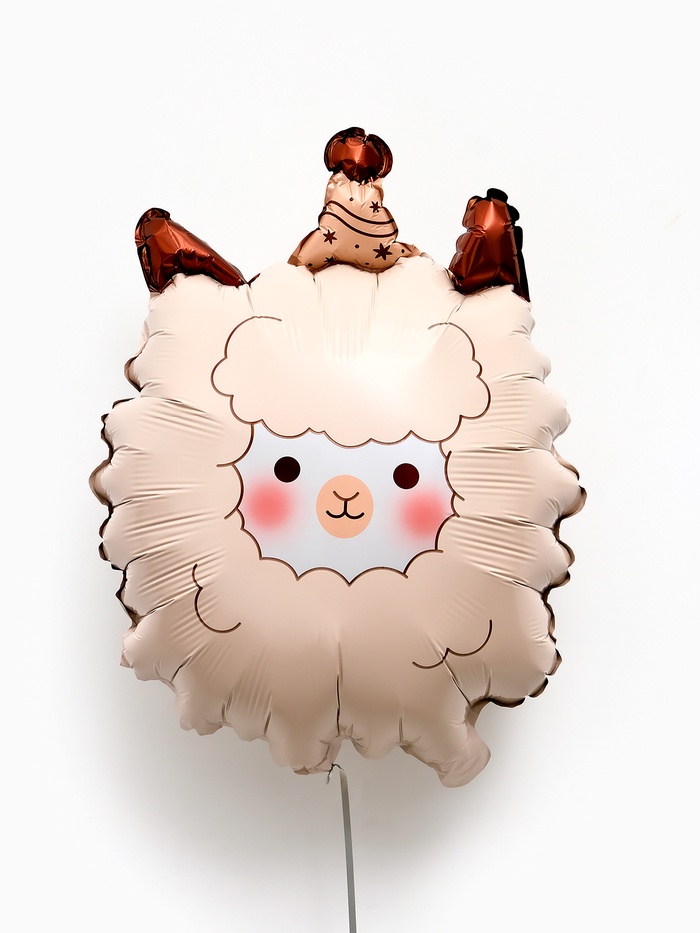 Воздушный шар фольгированный 24