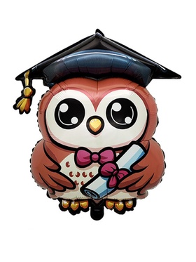 Воздушный шар фольгированный 24