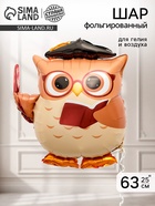 Воздушный шар фольгированный 25" "Сова учитель" 10971751