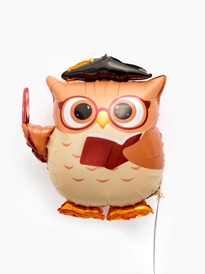 Воздушный шар фольгированный 25