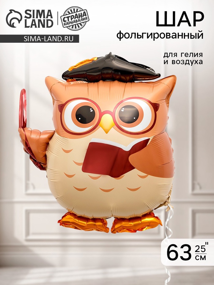 Воздушный шар фольгированный 25 «Сова учитель»