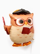 Воздушный шар фольгированный 25" "Сова учитель" 10971751