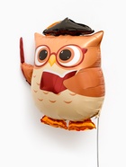 Воздушный шар фольгированный 25" "Сова учитель" 10971751