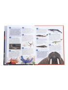 Энциклопедия российского школьника "Подводный мир" 11014902