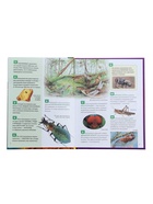 Энциклопедия российского школьника «Насекомые» - Фото 3