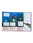 Энциклопедия российского школьника «Насекомые» - Фото 4