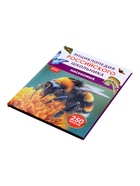 Энциклопедия российского школьника «Насекомые» - Фото 6