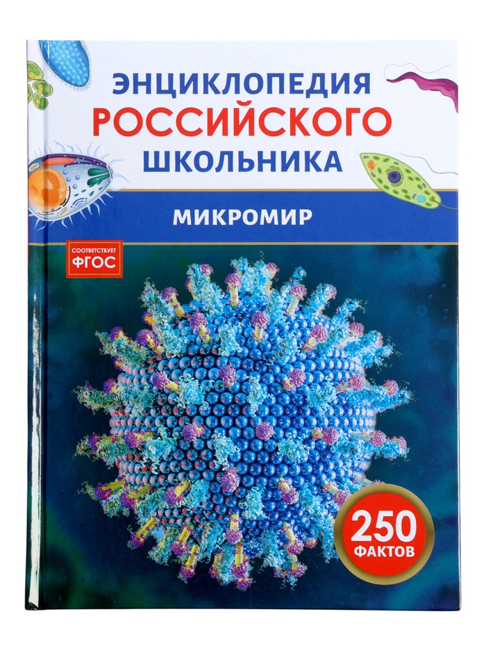 Энциклопедия российского школьника «Микромир» - Фото 1