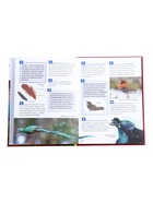 Энциклопедия российского школьника «Птицы» - Фото 3