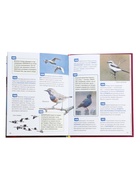 Энциклопедия российского школьника «Птицы» - Фото 4