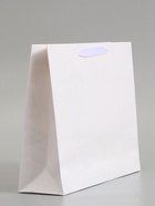 Пакет подарочный ламинированный горизонтальный «Белый», M 30×25.5×9 см - фото 809625530