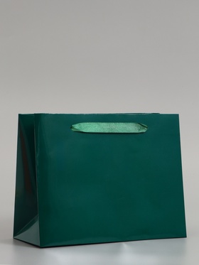 Пакет подарочный ламинированный горизонтальный «Изумрудный», MS 18×23×10 см