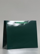 Пакет подарочный ламинированный горизонтальный «Изумрудный», M 32×26×12 см - фото 809625563