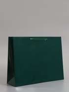 Пакет подарочный ламинированный горизонтальный «Изумрудный», L 40×31×11.5 см - фото 809625568