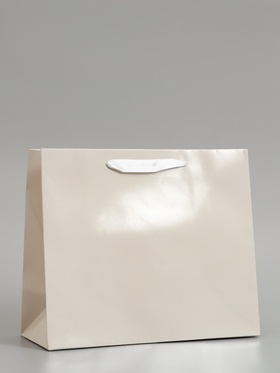 Пакет подарочный ламинированный горизонтальный «Молочный», ML 27×23×11.5 см