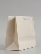 Пакет подарочный ламинированный горизонтальный «Молочный», ML 27×23×11.5 см - фото 809625580