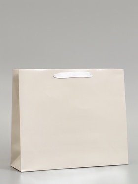 Пакет подарочный ламинированный горизонтальный «Молочный», M 30×25.5×9 см
