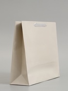 Пакет подарочный ламинированный горизонтальный «Молочный», M 30×25.5×9 см - фото 809625585