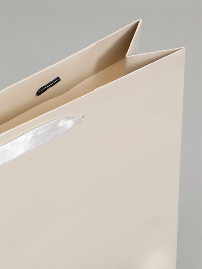 Пакет подарочный ламинированный горизонтальный «Молочный», M 30×25.5×9 см