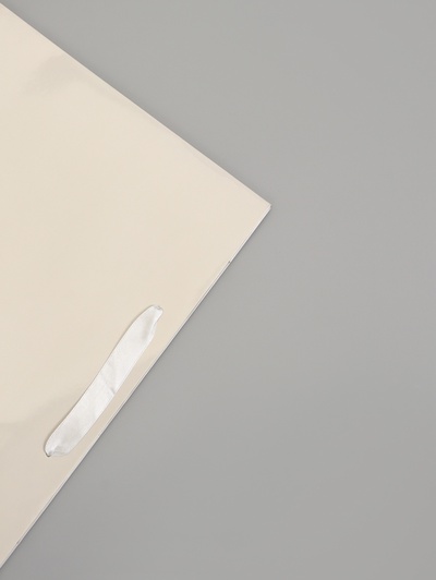 Пакет подарочный ламинированный горизонтальный «Молочный», M 30×25.5×9 см