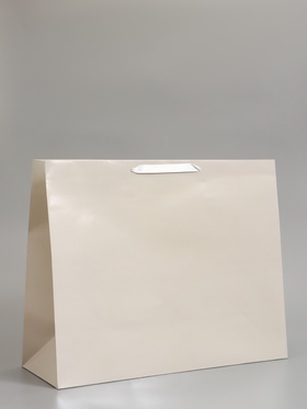 Пакет подарочный ламинированный горизонтальный «Молочный», XL 49×40×19 см