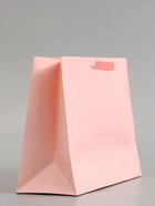 Пакет подарочный ламинированный горизонтальный «Розовый», ML 27×23×11.5 см - фото 809625605