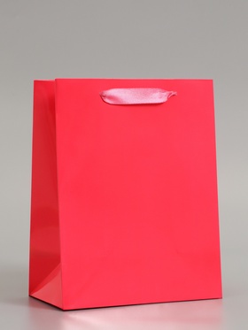 Пакет подарочный ламинированный вертикальный «Фуксия», S 18×23×10 см
