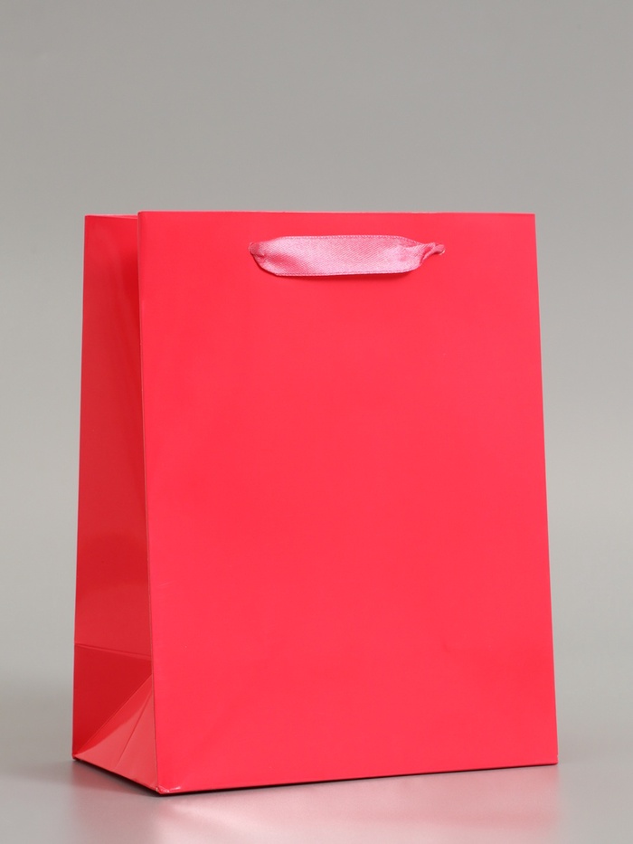 Пакет подарочный ламинированный вертикальный «Фуксия», S 18×23×10 см - Фото 1
