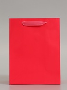 Пакет подарочный ламинированный вертикальный «Фуксия», S 18×23×10 см - Фото 2