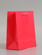 Пакет подарочный ламинированный вертикальный «Фуксия», S 18×23×10 см - Фото 3