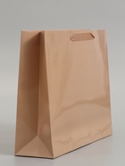 Пакет подарочный ламинированный горизонтальный «Ваниль», M 32×26×9 см - фото 809625625