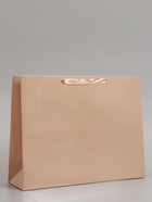 Пакет подарочный ламинированный горизонтальный «Ваниль», L 40×31×11.5 см - фото 809625628