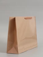 Пакет подарочный ламинированный горизонтальный «Ваниль», L 40×31×11.5 см - фото 809625630