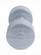 Гантели виниловые, 2 шт., 2 кг, серебристый металлик 11004522