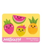 Магниты из полимерной глины «Летняя свежесть», набор для творчества 11009614