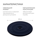 УЦЕНКА Диск здоровья, металлический, d=28 см, двухцветный - Фото 2