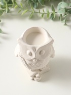 Подставка для мелочей «Сова на книгах с пером», 10×8 см, гипс - фото 809651100