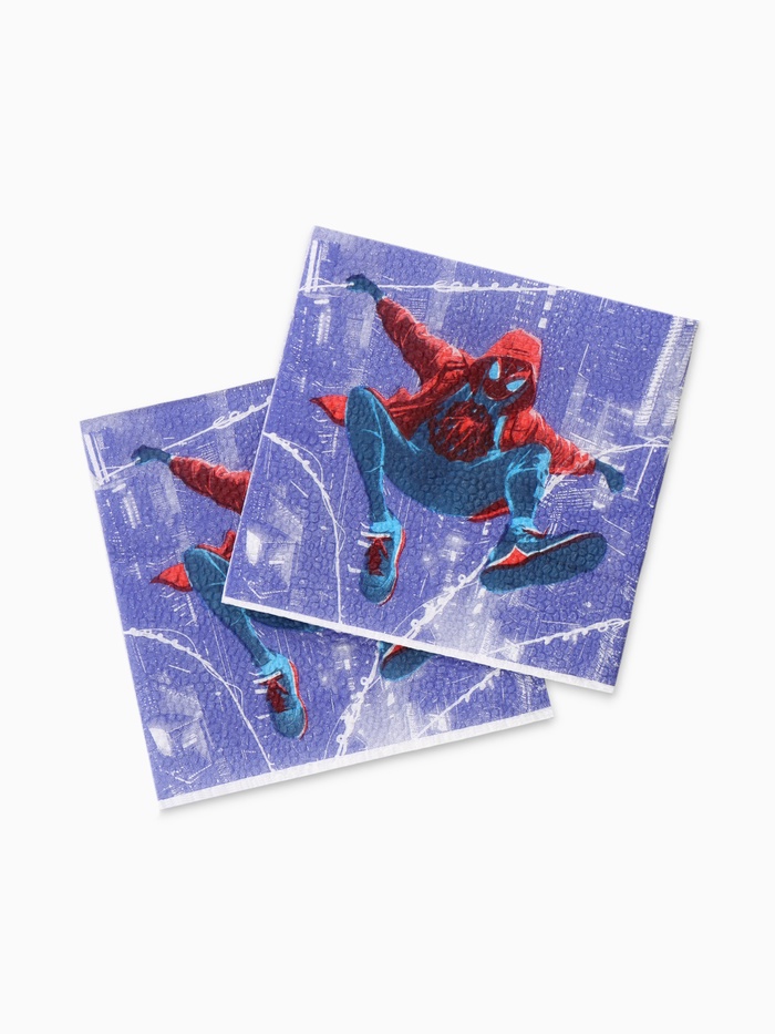 Салфетки бумажные, 24×24 см, 20 штук, «Подросток» - Фото 1