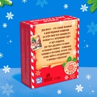 УЦЕНКА ЭВРИКИ Набор для раскопок «Послание от Деда Мороза» бутылочка, камни - Фото 6