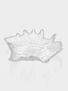 УЦЕНКА Набор блюд «Кленовый лист» 24×26×4 см, прозрачные - Фото 3