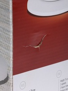 УЦЕНКА Вентилятор ENERGY EN-1622 TOWER, напольный, 50 Вт, 3 скорости, белый - Фото 7