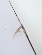 УЦЕНКА Тарелка "Зимний лес", 20 х 17 см - Фото 5