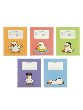 Тетрадь 24 листа в клетку Calligrata «Уточка», 5 В МИКС