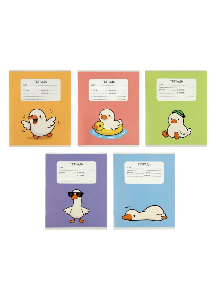 Тетрадь 24 листа в клетку Calligrata «Уточка», 5 В МИКС