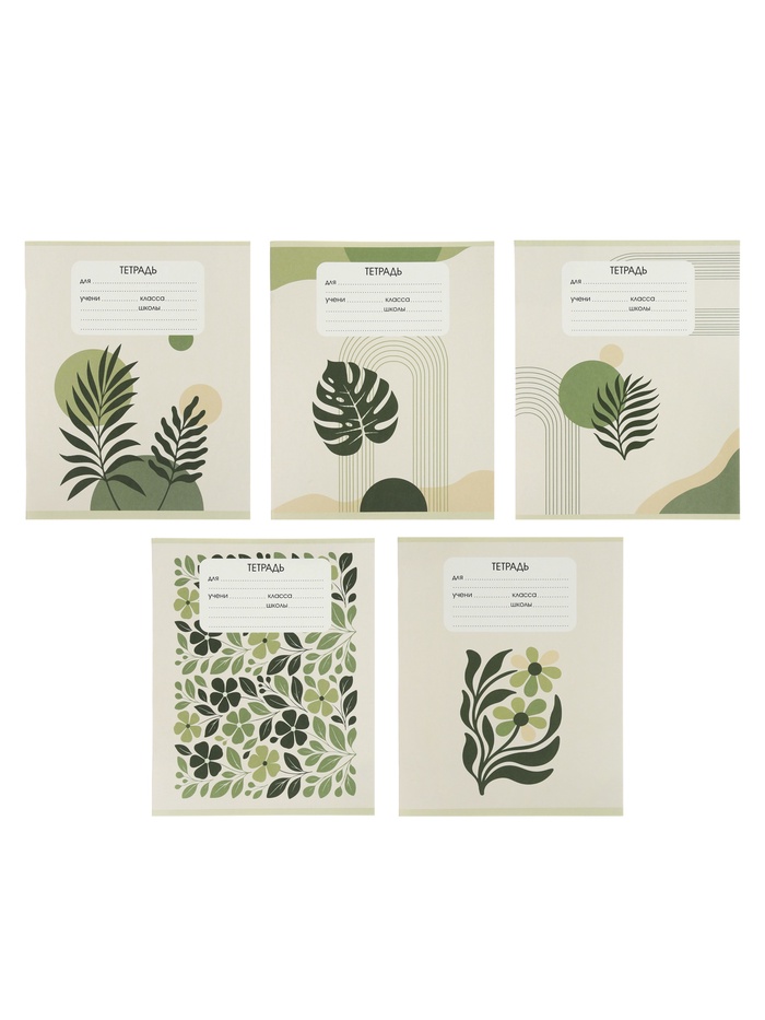 Тетрадь 24 листа в клетку Calligrata «Минимализм», 5 В МИКС