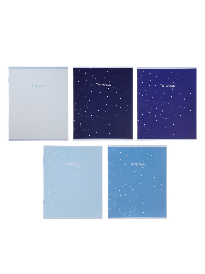 Комплект тетрадей из 10 штук, 12 листов в косую линейку, Calligrata «Монохром», обложка мелованный картон, 5 видов