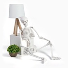 УЦЕНКА Макет "Скелет взрослого человека" в полный рост, для изучения анатомии, 85 см - Фото 9