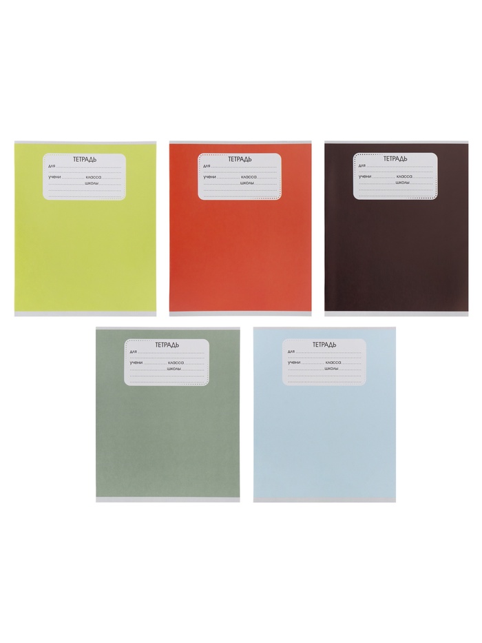 Тетрадь 24 листа в линейку Calligrata «Однотон», 5 в МИКС