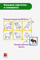 Лото малышам «Птицы, животные» - фото 809653447