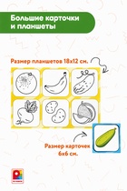 Лото малышам «Овощи и фрукты» - фото 809653480